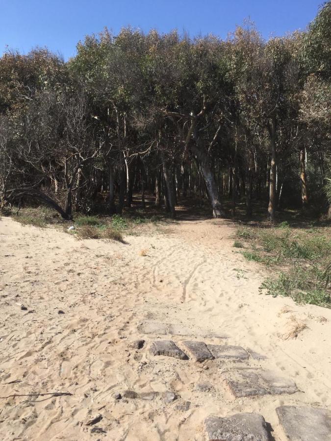 קטאניה Beach House Vaccarizzo מראה חיצוני תמונה