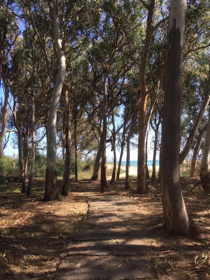 קטאניה Beach House Vaccarizzo מראה חיצוני תמונה